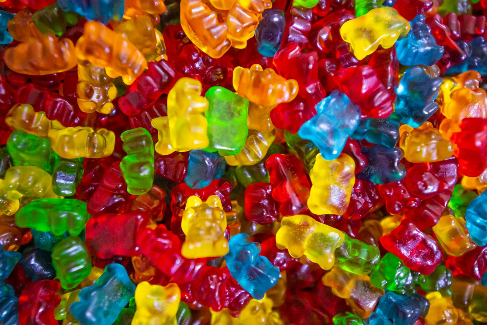 amit lahav lu fcezp9 o unsplash